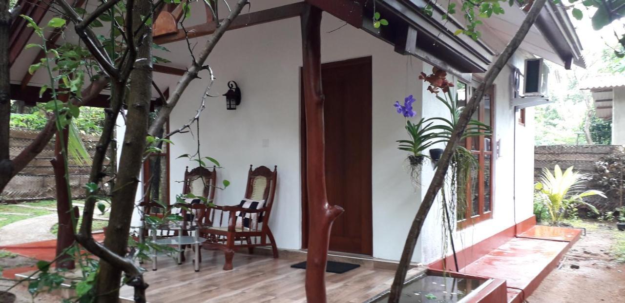 Yaluwa Tourist Rest & Cooking Class 阿努拉德普勒 外观 照片