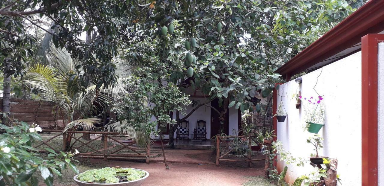 Yaluwa Tourist Rest & Cooking Class 阿努拉德普勒 外观 照片